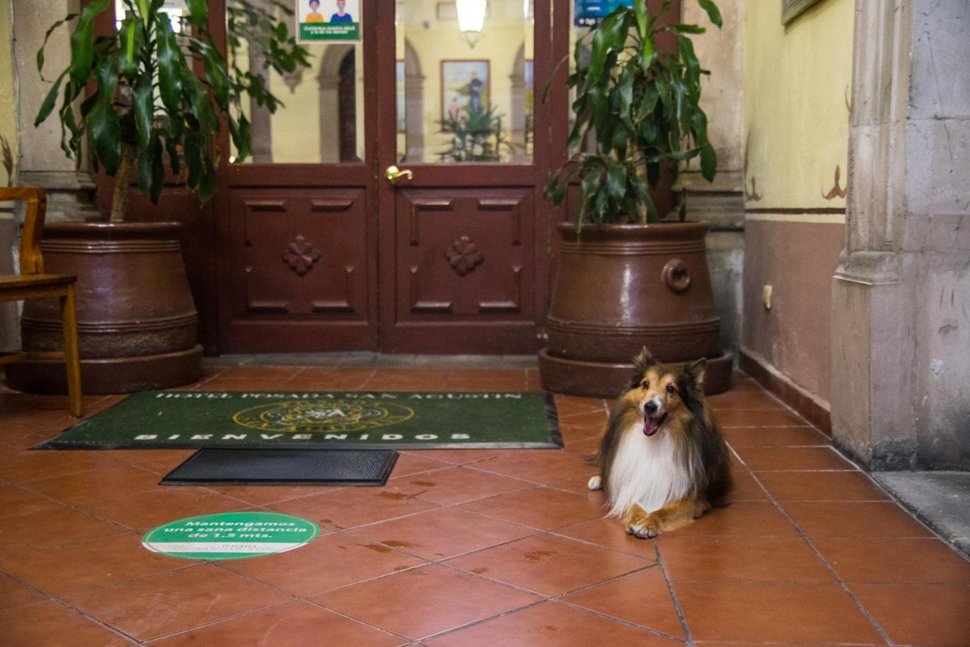 Hotel Posada San Agustin ولاية دورانغو المظهر الخارجي الصورة