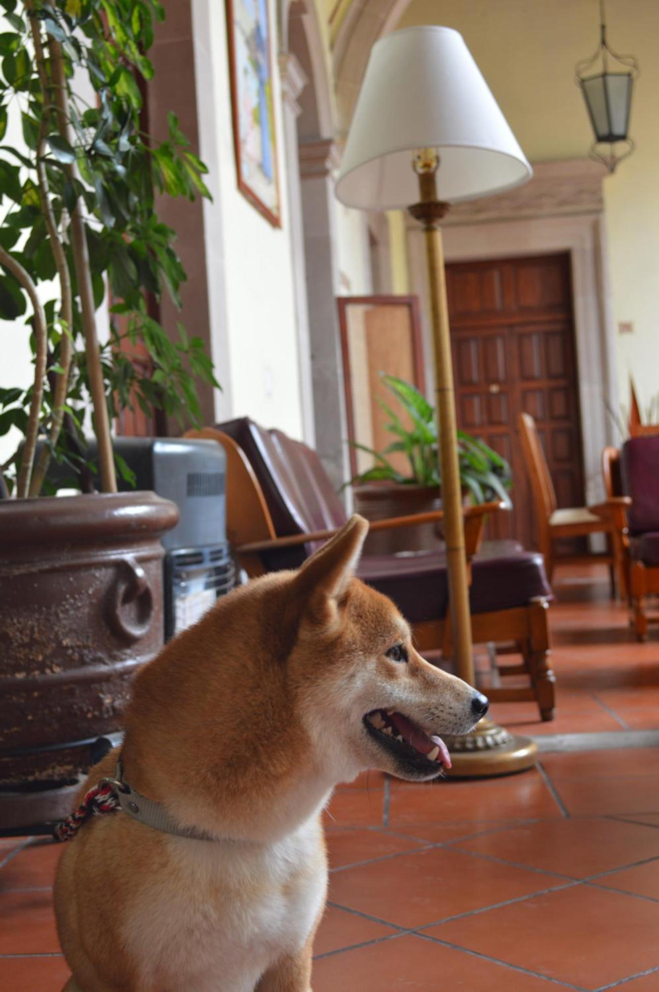 Hotel Posada San Agustin ولاية دورانغو المظهر الخارجي الصورة
