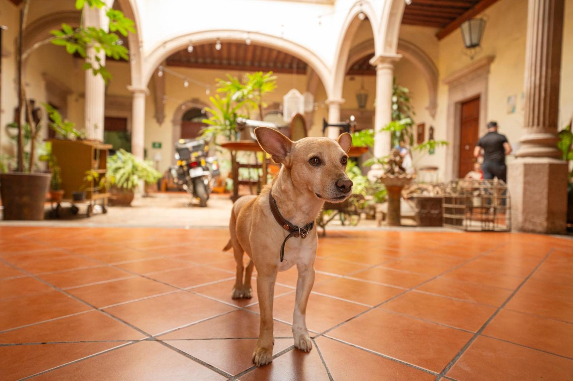 Hotel Posada San Agustin ولاية دورانغو المظهر الخارجي الصورة